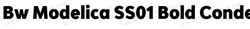 Bw Modelica SS01 Bold Condensed字体转换